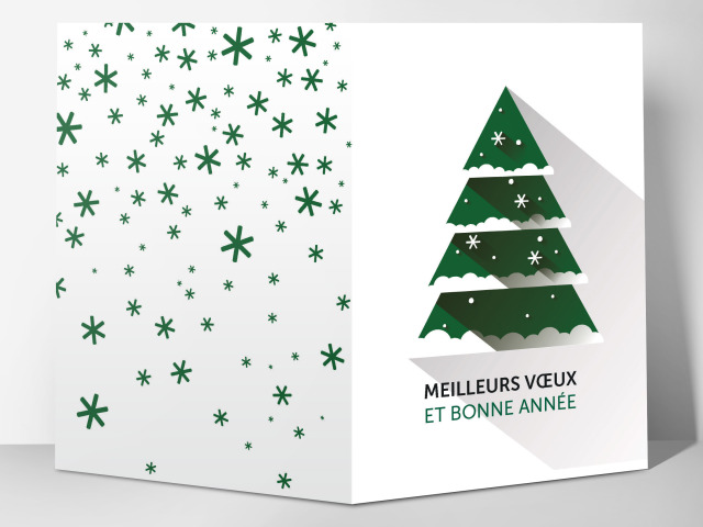 Carte 105 x 15 cm modèle 025