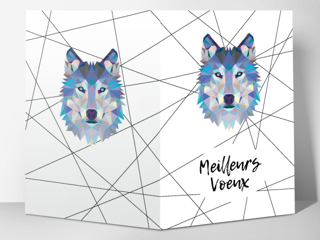 Carte 105 x 15 cm modèle 051