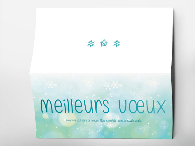 Carte 21 x 105 cm modèle 201