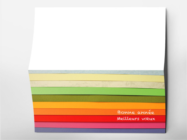 Carte 21 x 105 cm modèle 204