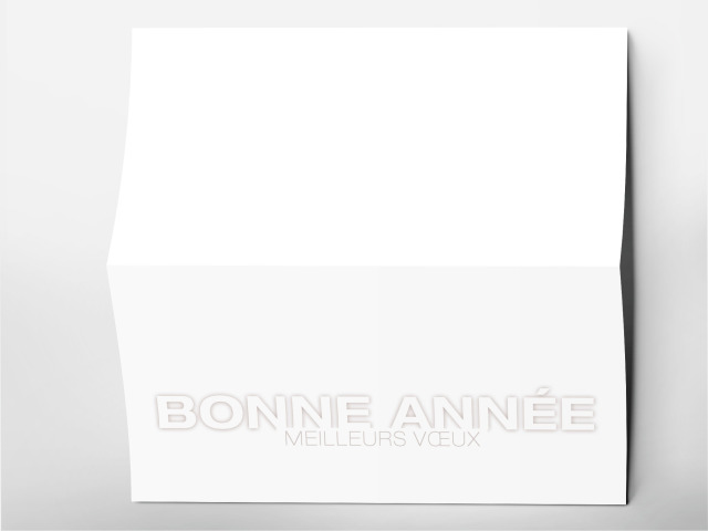 Carte 21 x 105 cm modèle 205