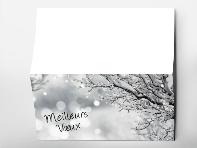 Carte 21 x 105 cm modèle 206
