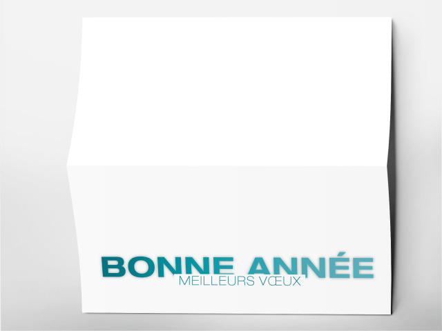 Carte 21 x 105 cm modèle 211