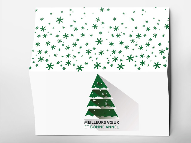 Carte 21 x 105 cm modèle 225