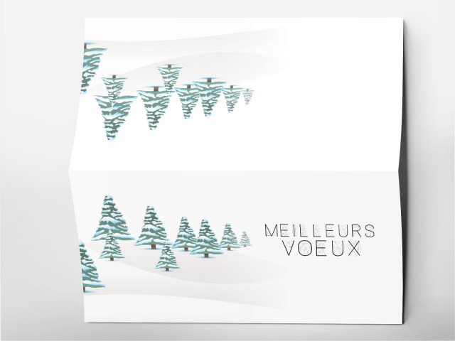 Carte 21 x 105 cm modèle 226