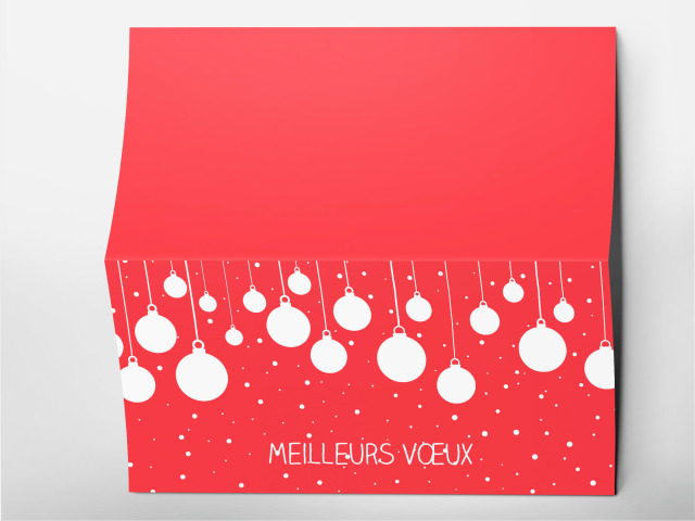 Carte 21 x 105 cm modèle 230