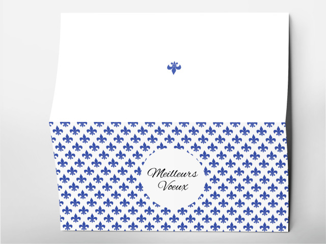 Carte 21 x 105 cm modèle 235