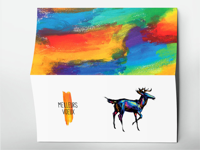 Carte 21 x 105 cm modèle 243