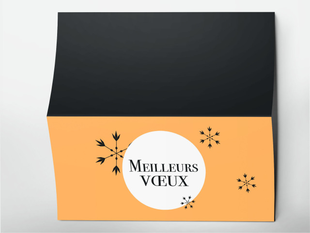 Carte 21 x 105 cm modèle 244