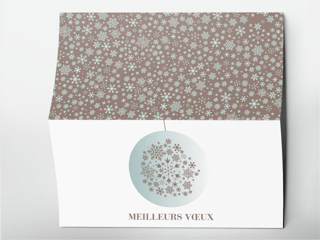 Carte 21 x 105 cm modèle 245