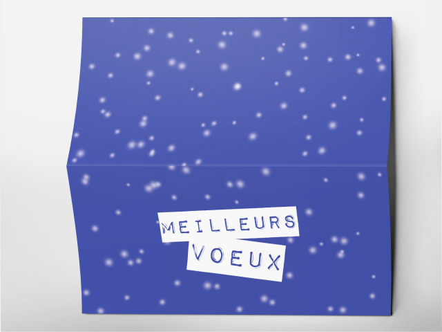 Carte 21 x 105 cm modèle 247
