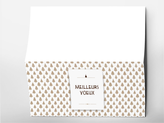 Carte 21 x 105 cm modèle 249